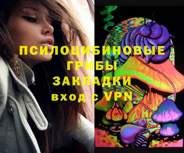 прущие грибы Абинск