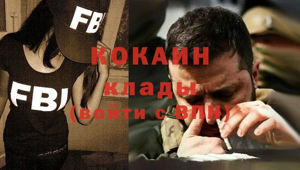прущие грибы Абинск