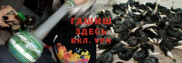 прущие грибы Абинск